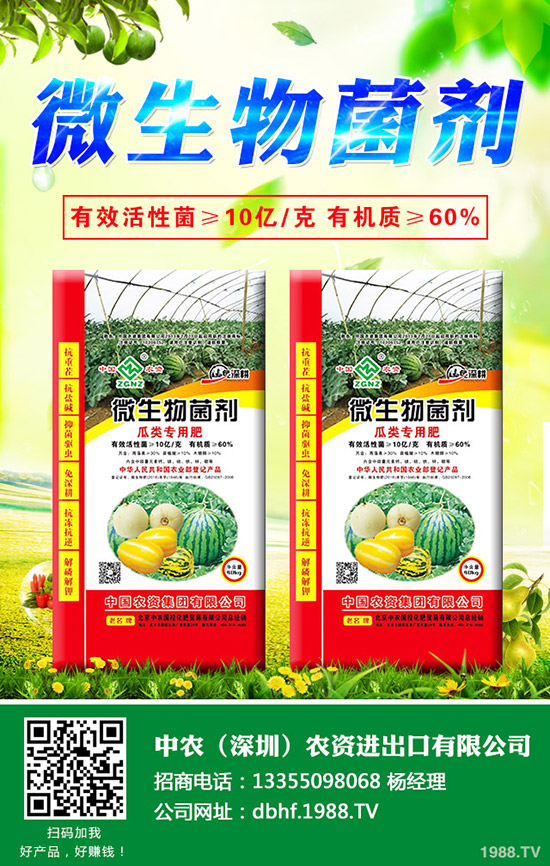 大白菜爛心是什么原因，大白菜爛心防治措施！