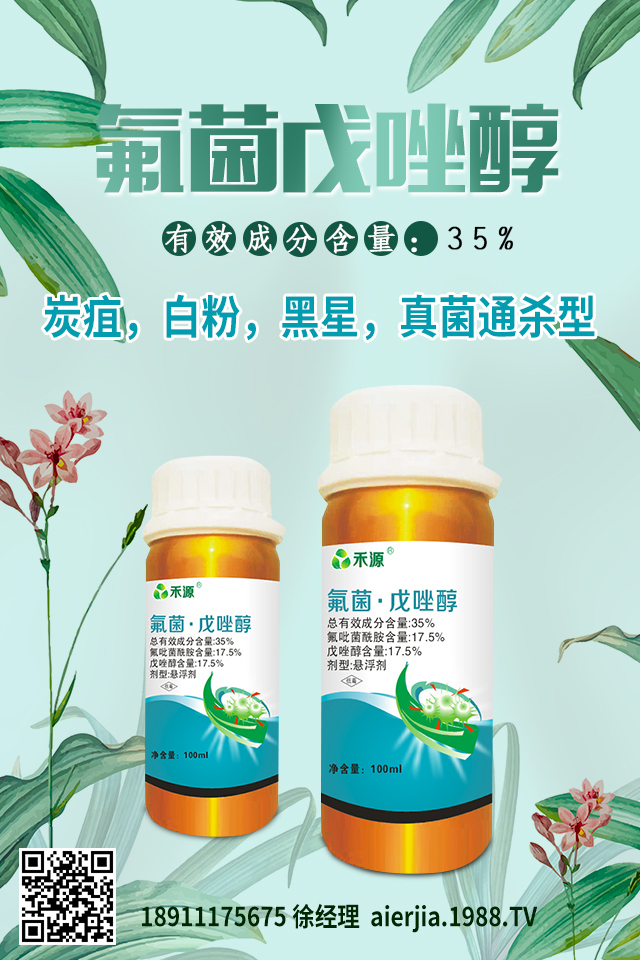芹菜黑心腐爛怎么防治?芹菜黑心腐爛要對(duì)癥防治