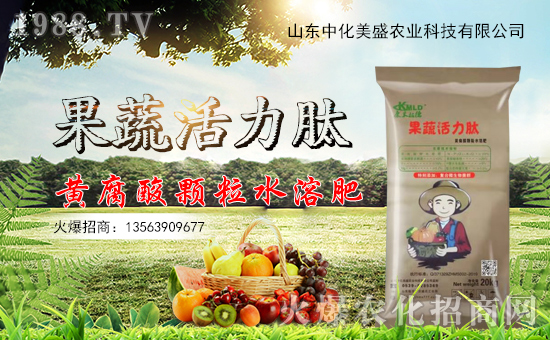 �л���ʢ���v���r(n��ng)���W(w��ng)���_���W(w��ng)�j(lu��)������������