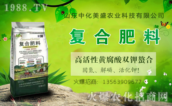 �л���ʢ���v���r(n��ng)���W(w��ng)���_���W(w��ng)�j(lu��)������������