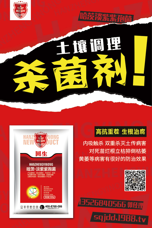 大蔥爛根如何治？大蔥爛根防治技巧