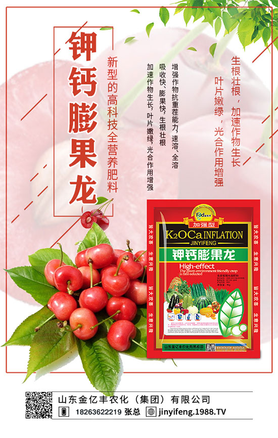 白菜爛心的原因有哪些?白菜爛心的預(yù)防措施