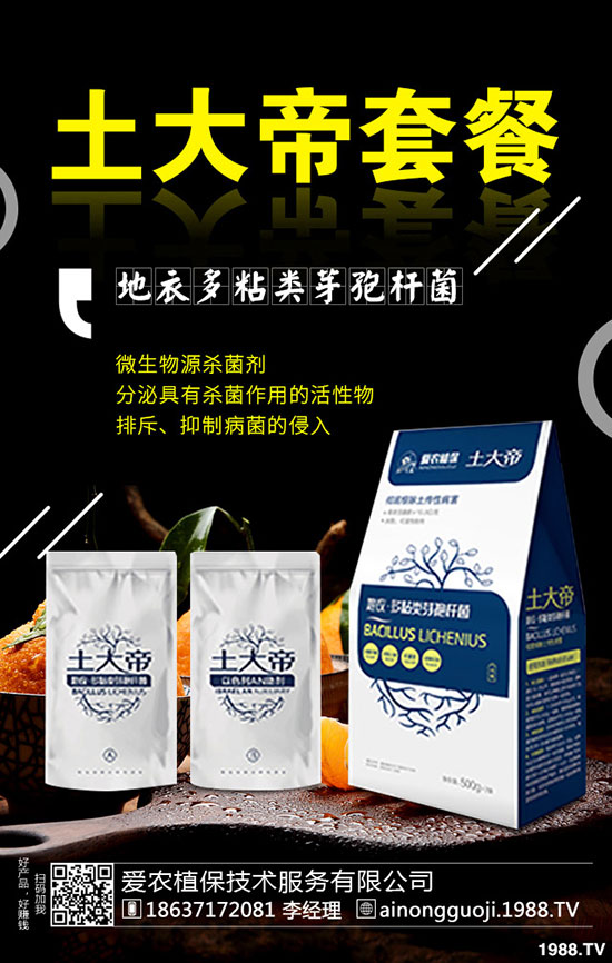 九月份可以種什么蔬菜？2019年9月蔬菜種植指南!