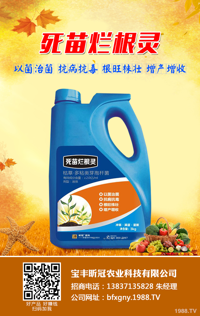 小麥死苗應(yīng)該如何防治？小麥死苗的原因