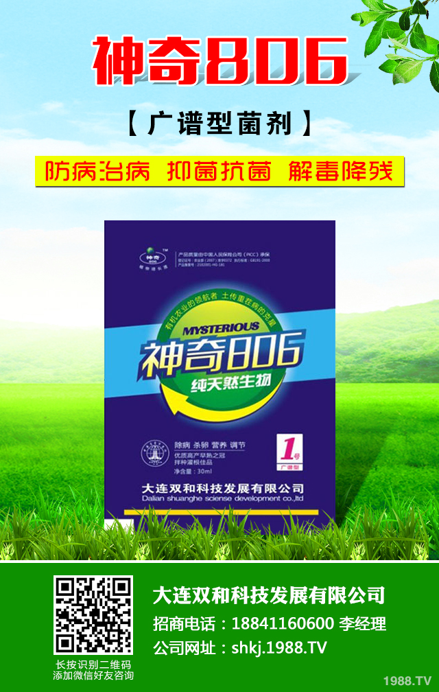 瓜果蔬菜病害怎么辦？溫棚瓜果蔬菜生理性病害防治