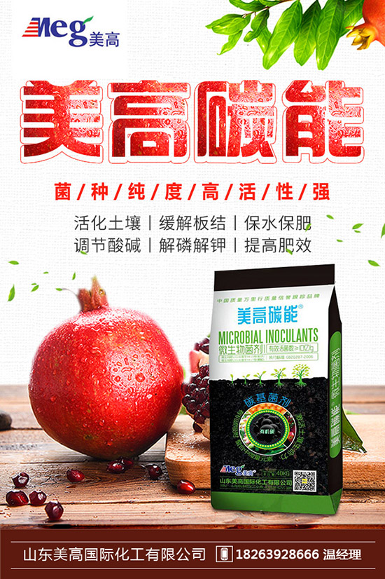     秋季家庭陽臺種植什么蔬菜好？秋冬陽臺種菜的方法！