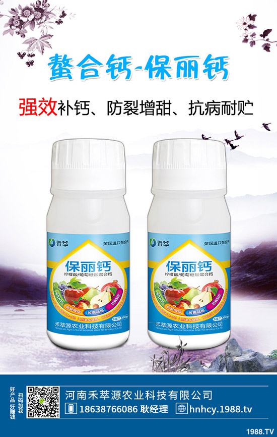 木耳菜怎么種，木耳菜種植時間和種植方法！