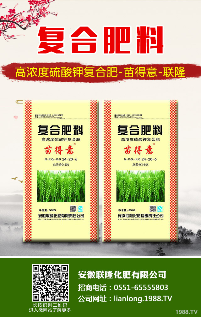 蘇鐵葉黃枯問題怎么解決？蘇鐵葉黃枯解決方法