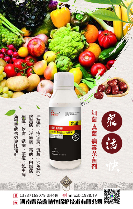 白菜軟腐病發(fā)病癥狀，白菜軟腐病防治措施