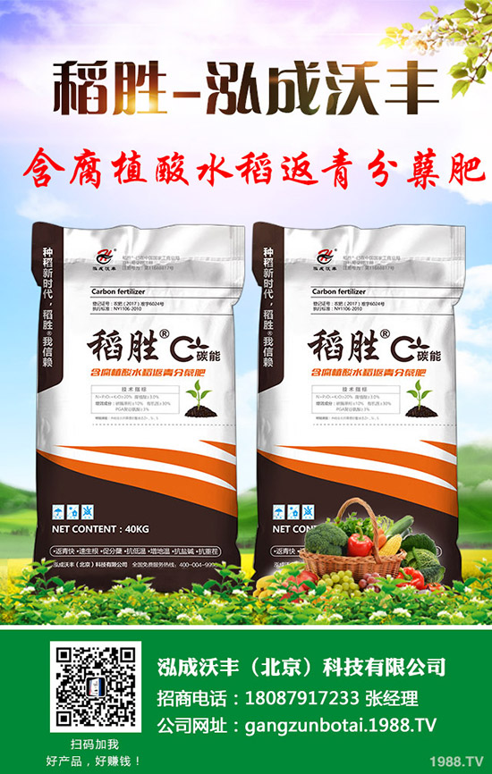 2019年9月4日:今日二銨價格日報,最新磷酸二銨企業(yè)出廠參考報價