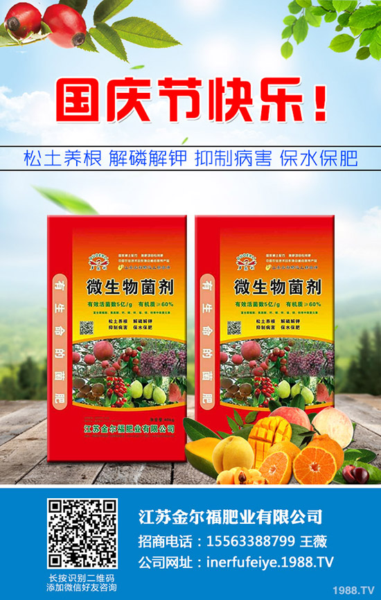     秋季香菜如何種植？香菜種植時間及種植技術(shù)、管理注意事項！