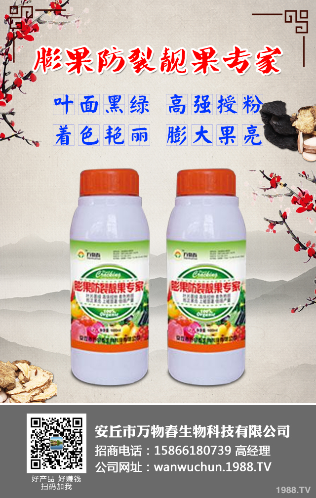 如何預(yù)防草莓畸形？草莓畸形防治技巧