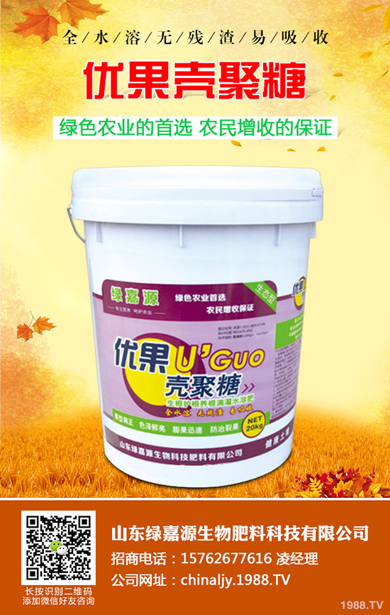 影響水稻分蘗的因素有哪些？如何提高水稻分蘗？