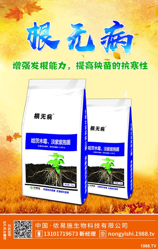     香菜、大蔥、香蔥種植賺錢嗎？常見調(diào)味型蔬菜種植利潤分析！