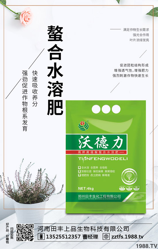 卷心菜有哪些營養(yǎng)價值？吃卷心菜有哪些好處？教你吃出健康！