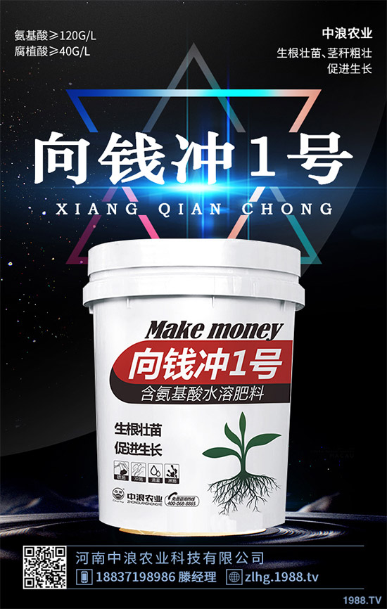 露地卷心菜什么時候種植？露地卷心菜種植技術大全