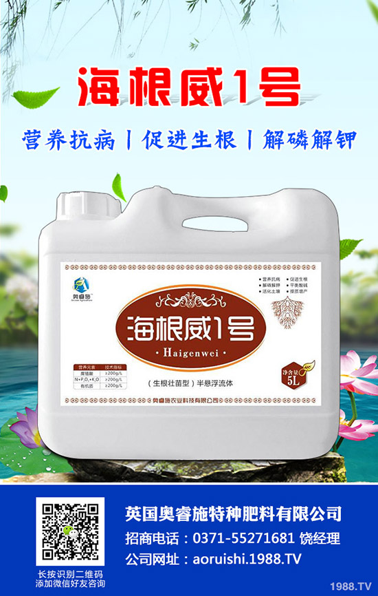 吃芋頭有哪些好處，芋頭的營(yíng)養(yǎng)價(jià)值及食用禁忌！