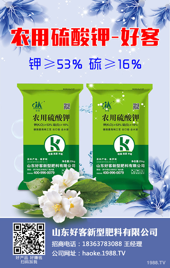 黃瓜什么時(shí)候種植？黃瓜高產(chǎn)種植技術(shù)有哪些？