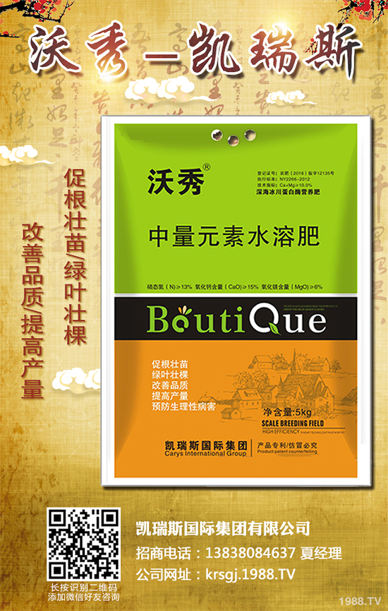 西蘭花什么時候種植?該怎么種?2019年西蘭花種植前景分析