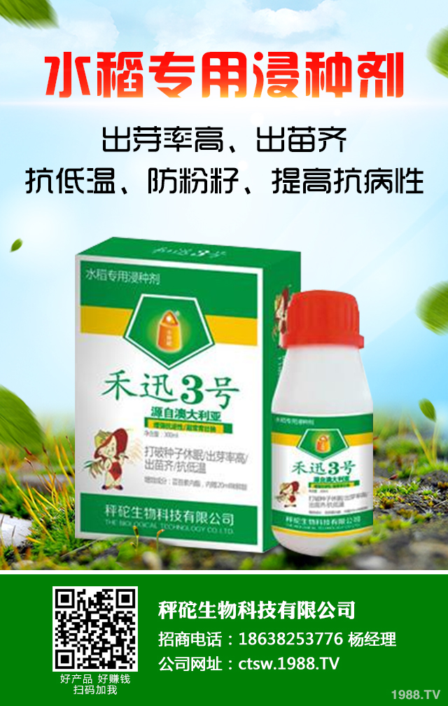 冬季香蕉怎么防凍?冬季香蕉防凍技巧