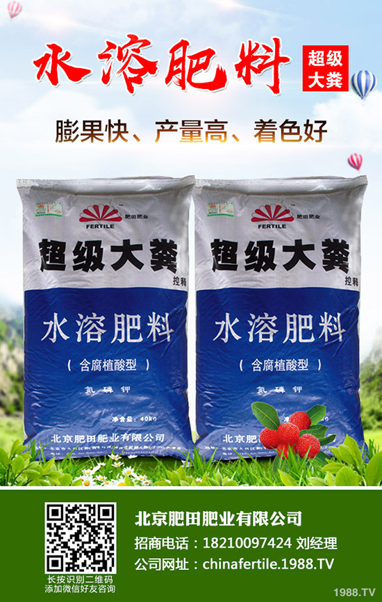 草莓得了紅中柱根腐病怎么辦?草莓紅中柱根腐病識(shí)別方法和防治!