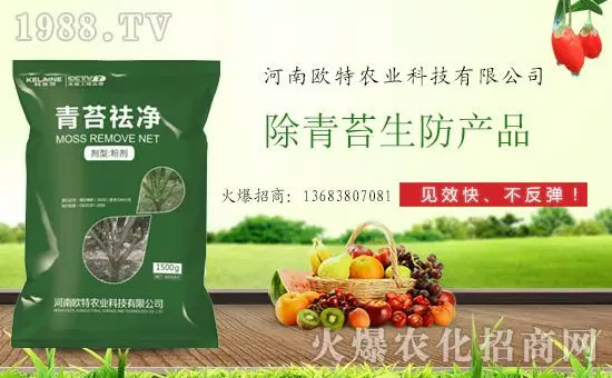 神奇除青苔劑！，不反彈！干凈，青苔無蹤！