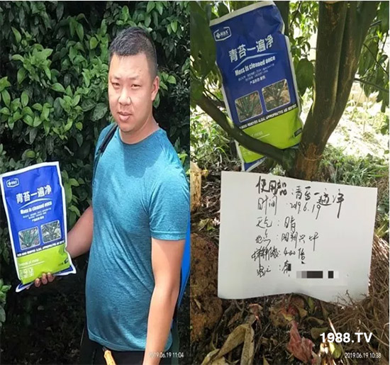 神奇除青苔劑！，不反彈！干凈，青苔無蹤！