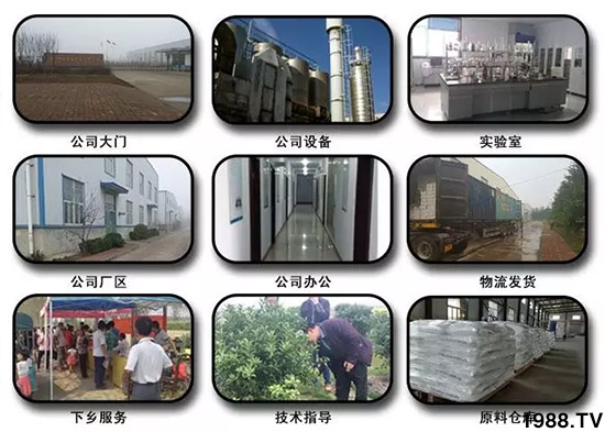 神奇除青苔劑！，不反彈！干凈，青苔無蹤！