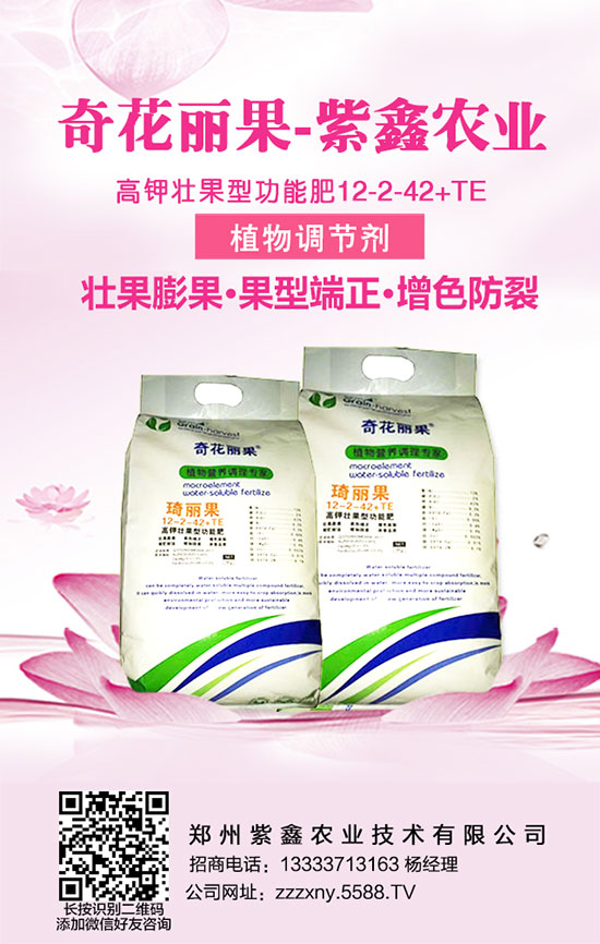 黃瓜施肥時(shí)的五大避免，大家知道嗎？