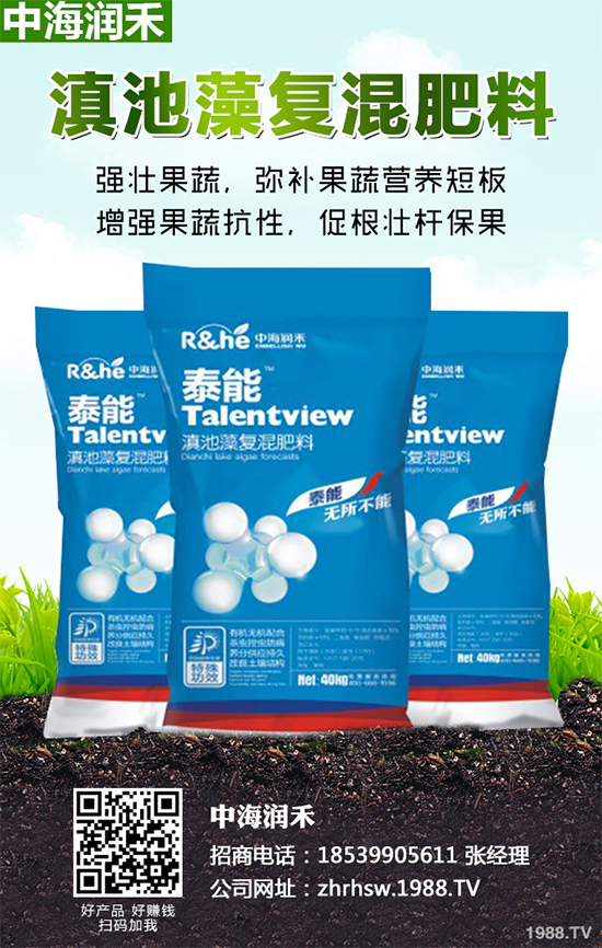 棉花怎么種植產量高？六大技巧讓你的棉花田輕松高產