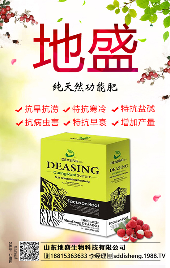 油茶樹的種植管理方法，油茶樹的經(jīng)濟(jì)價值如何？