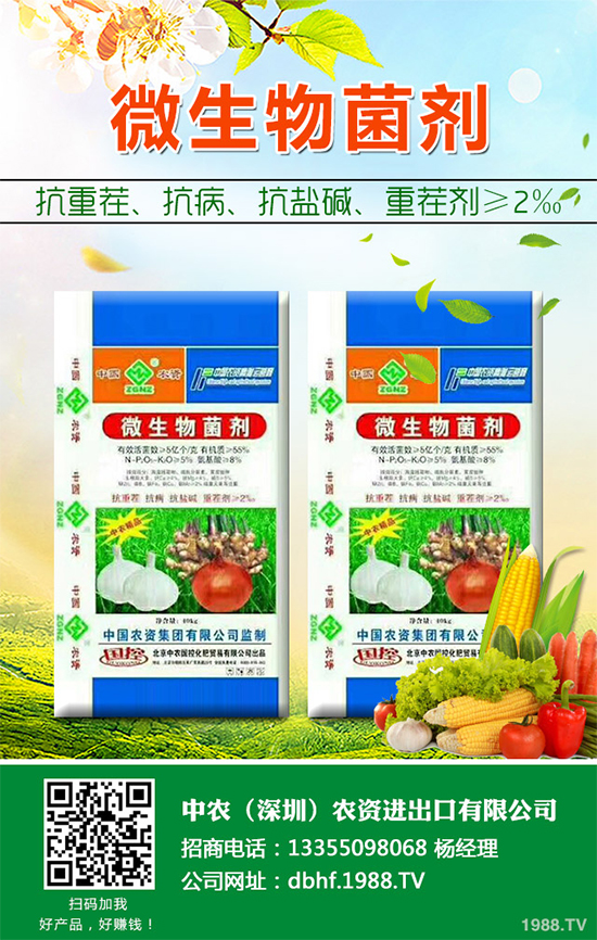 棉花怎么種植產量高？六大技巧讓你的棉花田輕松高產