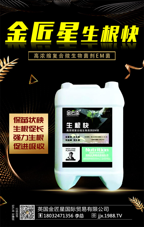 油茶樹的生長(zhǎng)特性，油茶樹怎么種植？