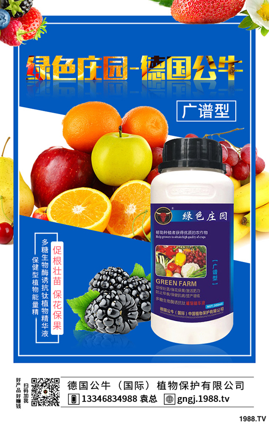 如何種植紫薯更高產(chǎn)，紫薯的種植方法與前景！