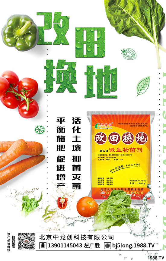 蘋果套袋是為了不打藥嗎?蘋果套袋時間及方法!