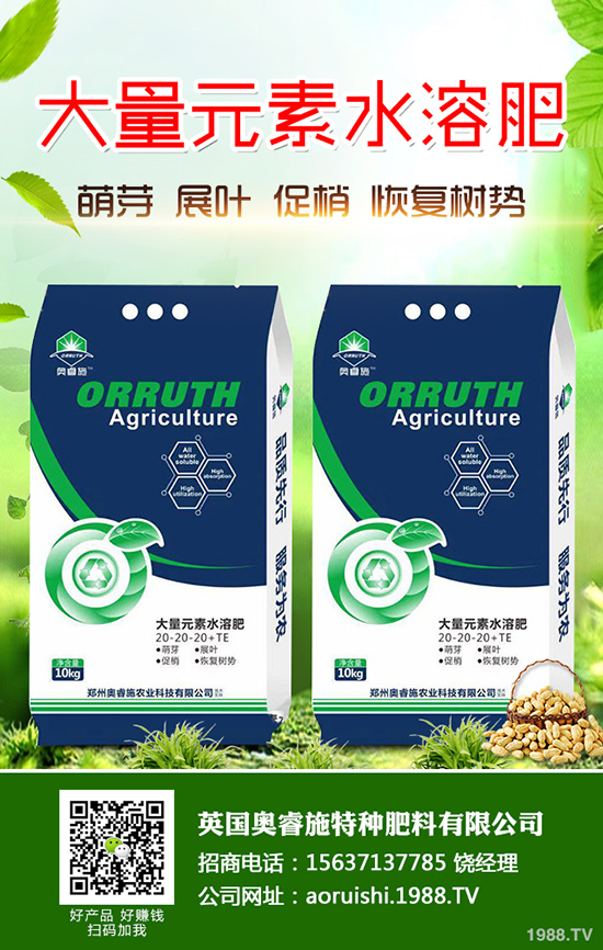 黑玉米如何種植？黑玉米的高產(chǎn)栽培技術(shù)