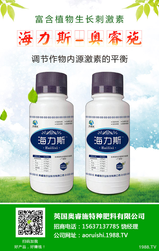 韭菜什么時(shí)候種植更好，韭菜種植時(shí)間和栽培技術(shù)