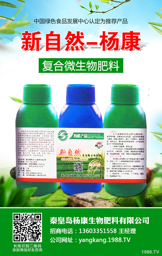 拐棗如何種植，拐棗種植技術(shù)及種植前景！