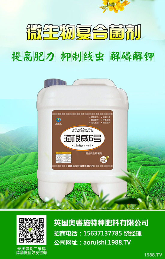 柚子種植技術(shù)！柚子栽種要注意些什么？