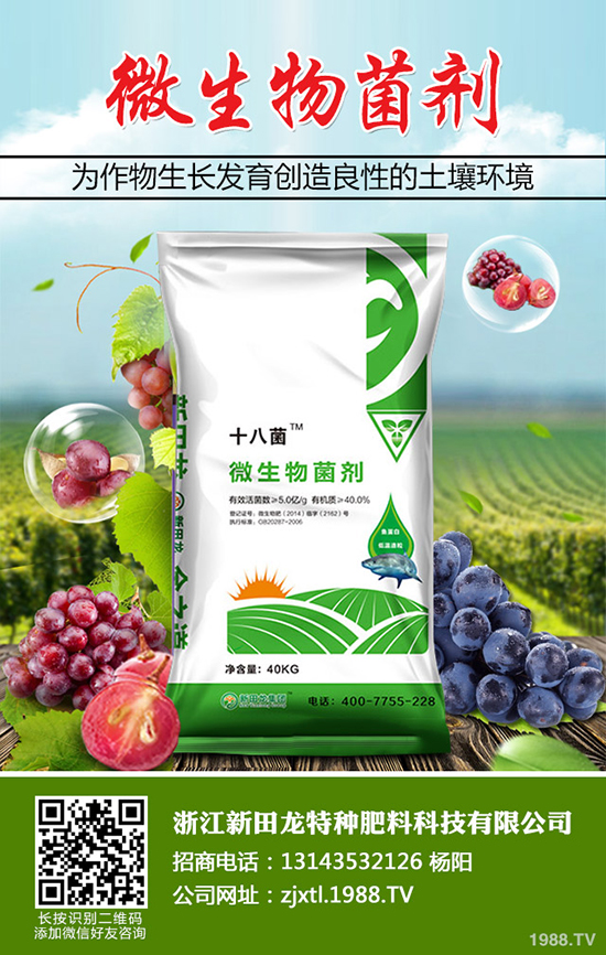 大蒜干尖黃葉什么原因?大蒜干尖黃葉防治方法