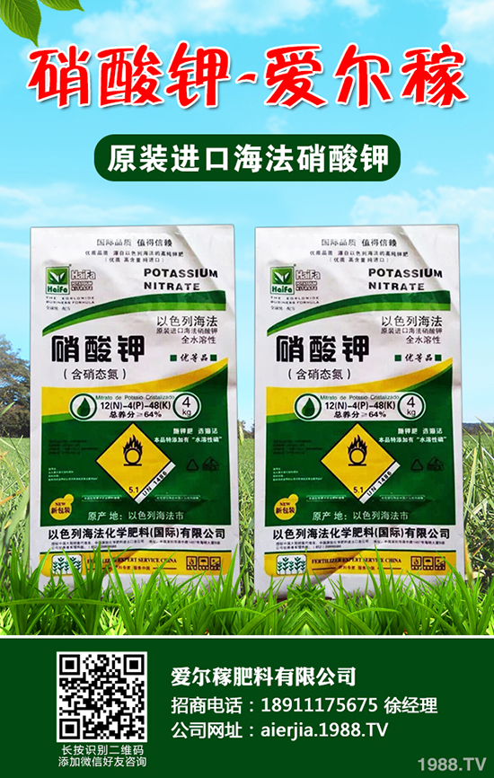 小蔥怎么種植產(chǎn)量高？小蔥的種植小技巧！