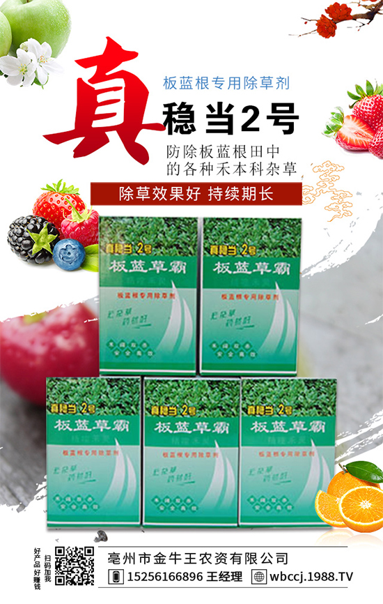     ����ţ����ף�V��(j��ng)�N�����т����µ�һ������t����ؔԴ�V�M��