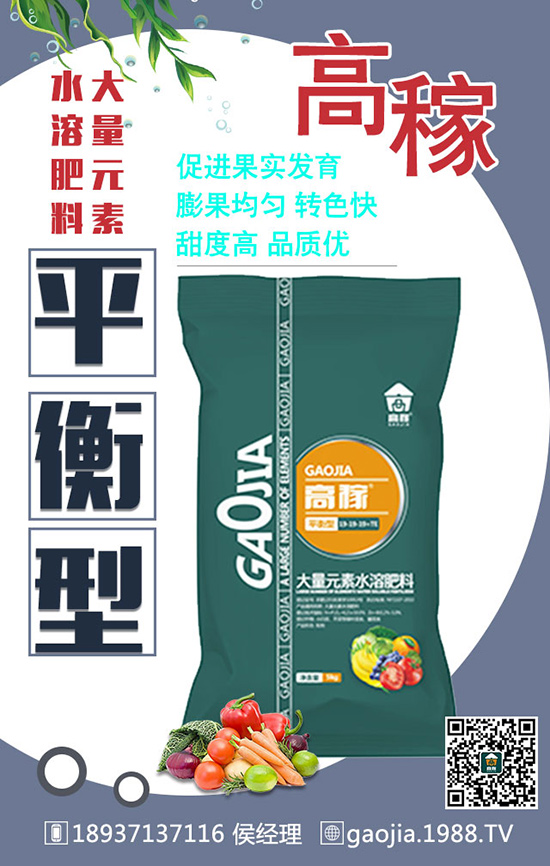 如何正確的給甜瓜施肥？怎么施肥？施什么肥？