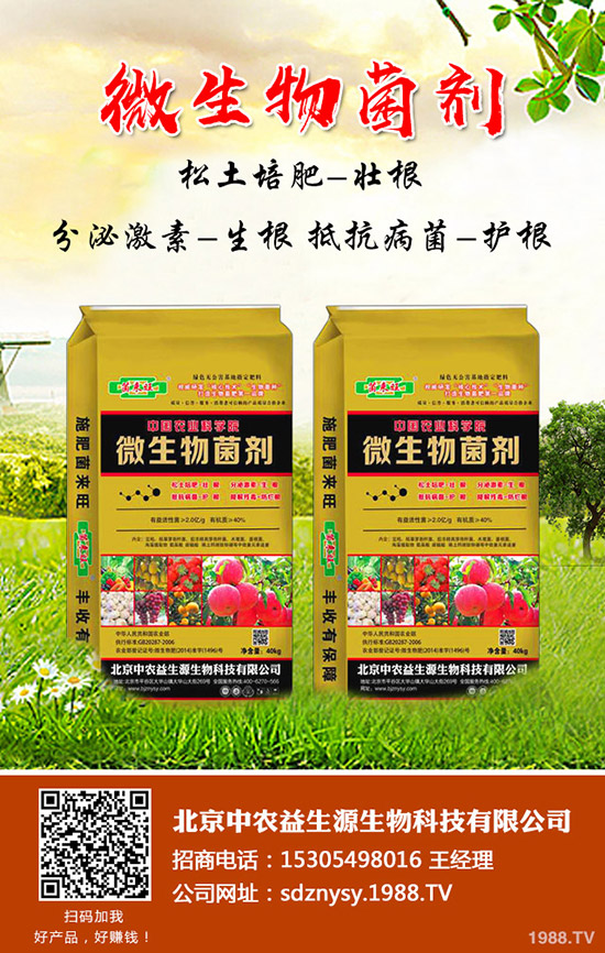     冬季小麥到底是年前澆水還是年后小麥澆水！有什么注意事項！