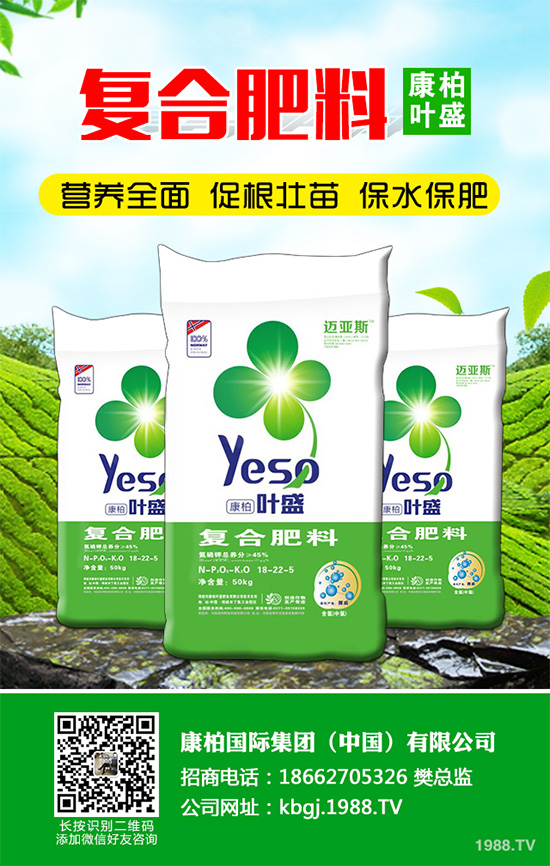 芹菜斑枯病有哪些危害癥狀?芹菜斑枯病的危害及防治