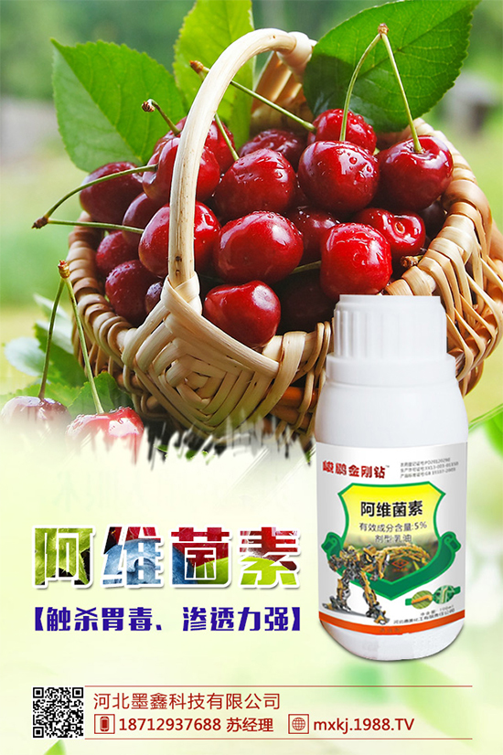     �������r(n��ng)ˎ�r(ji��)��