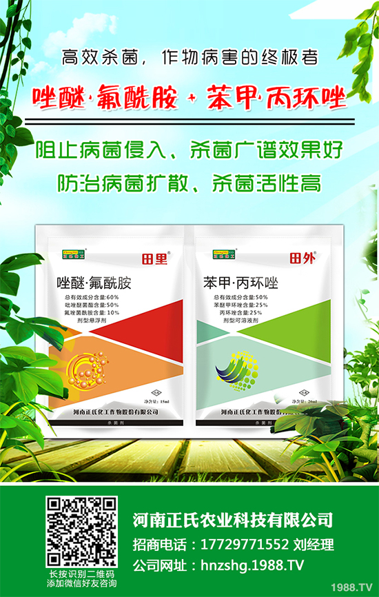     ʯ��τ��������r(ji��)��