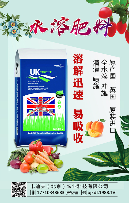 黃花菜要怎么種植？黃花菜對(duì)環(huán)境條件的要求！