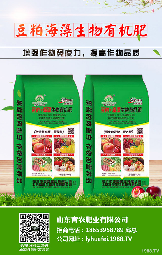 �۲����߲�����ЩΣ���Y�����۲����߲��İY����δ�ʩ