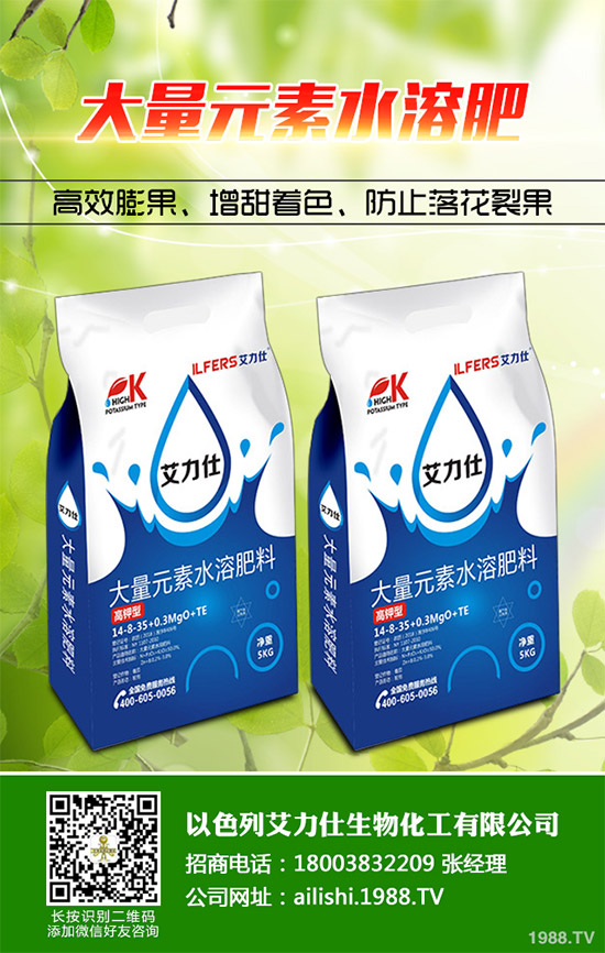 �۲˸���������ΰl(f��)������ԓ���ӷ��Σ������������